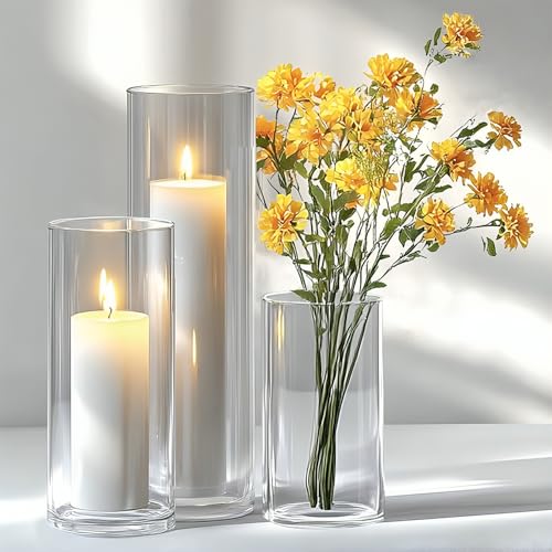 Ekhasa Nostrae by Ekhasa Cylindrical Glass Vase Set | Transparent Flower Vases for Home Decor & Water Plants | Candle Holder | Glass Jar for Indoor Money Plants, Etc. (Set of 3-8,6,4 Inch) - Image 2
