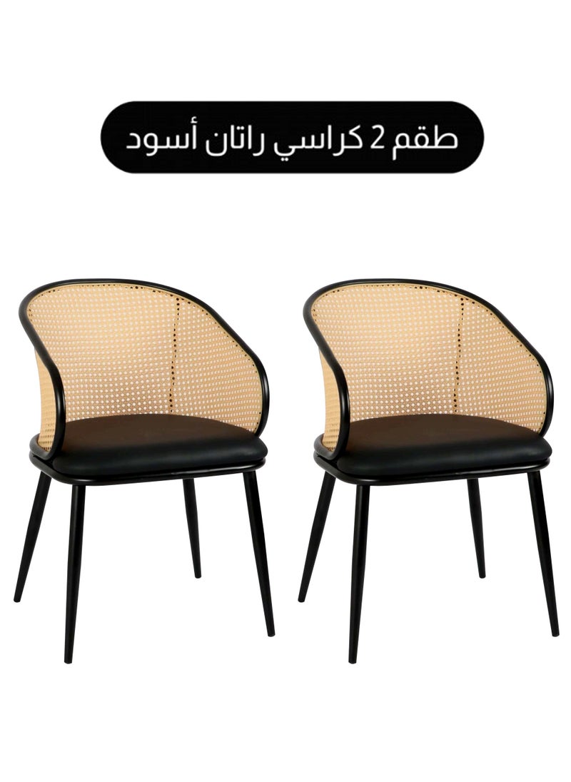Generic - SET OF 2 Luxury Armrest Dining Chairs Classic Hotel Metal Rattan Good Minimalist Dining Chairs  Living Room - Image 1
