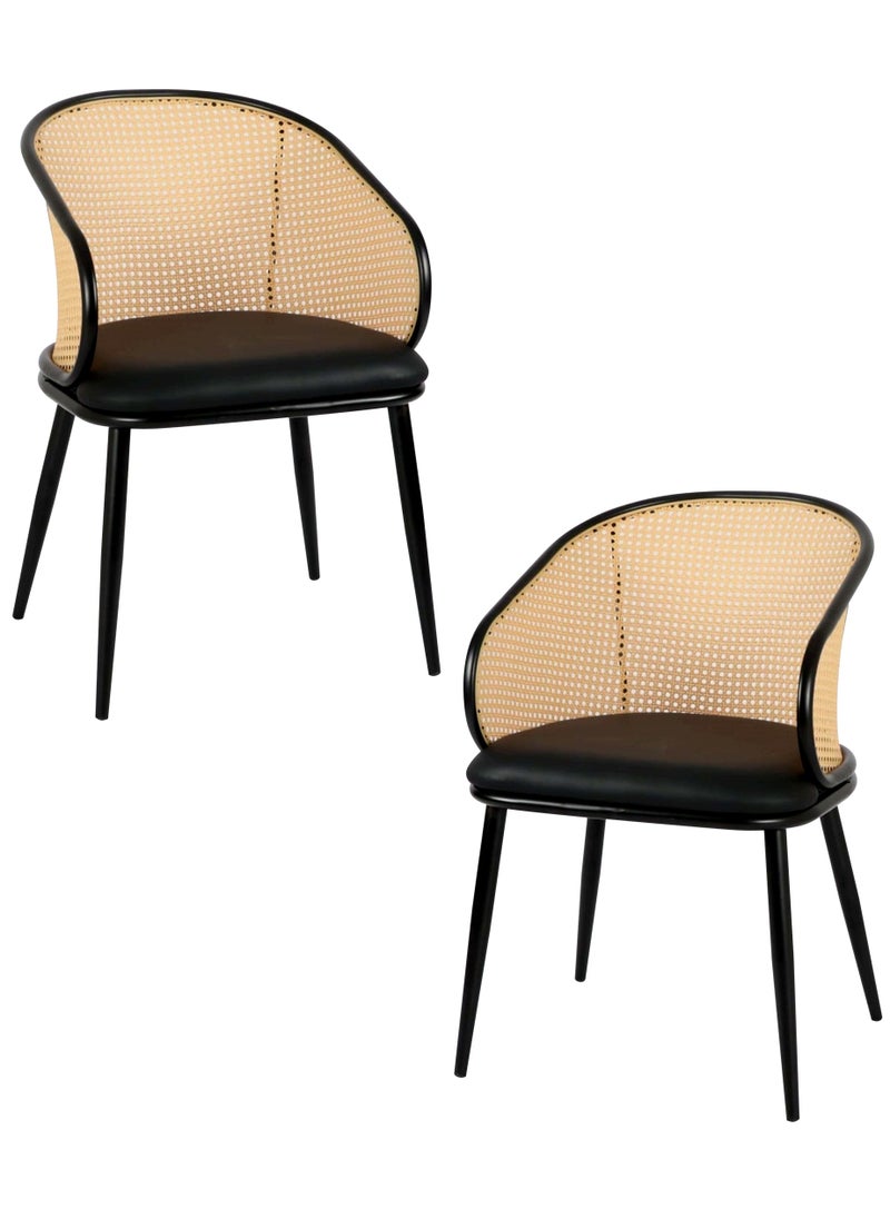 Generic - SET OF 2 Luxury Armrest Dining Chairs Classic Hotel Metal Rattan Good Minimalist Dining Chairs  Living Room - Image 1