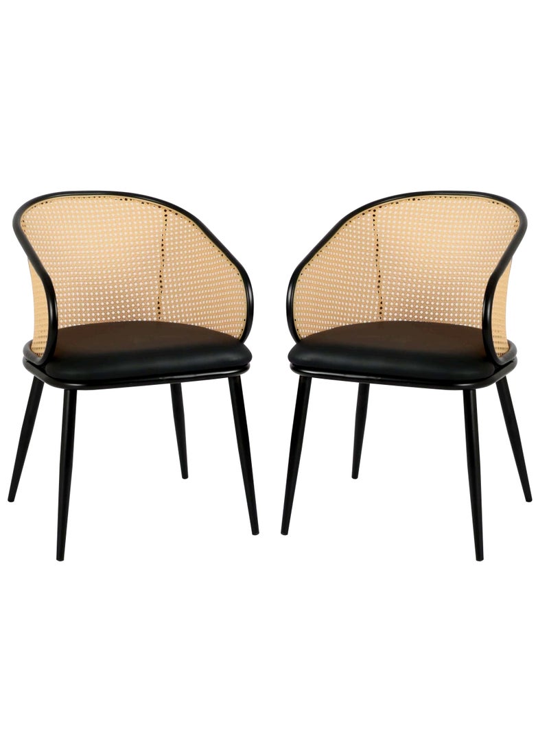 Generic - SET OF 2 Luxury Armrest Dining Chairs Classic Hotel Metal Rattan Good Minimalist Dining Chairs  Living Room - Image 1