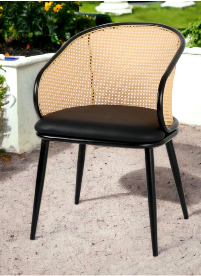 Generic - SET OF 2 Luxury Armrest Dining Chairs Classic Hotel Metal Rattan Good Minimalist Dining Chairs  Living Room - Image 1