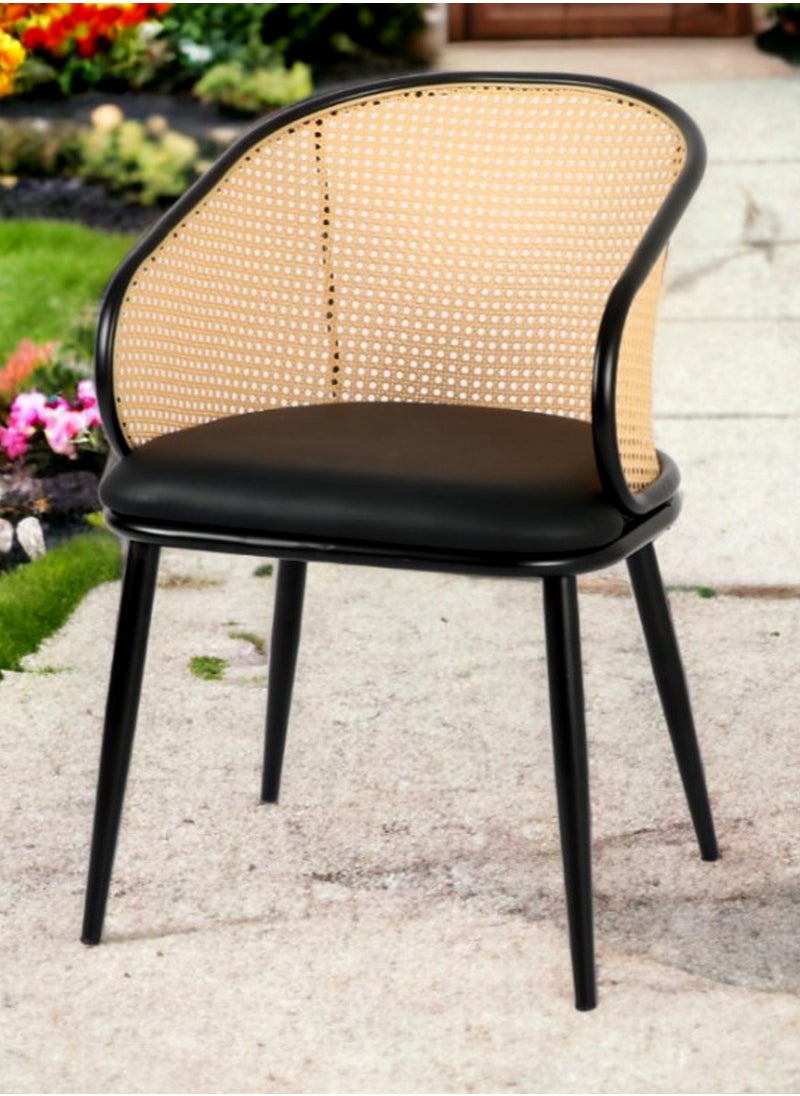 Generic - SET OF 2 Luxury Armrest Dining Chairs Classic Hotel Metal Rattan Good Minimalist Dining Chairs  Living Room - Image 1