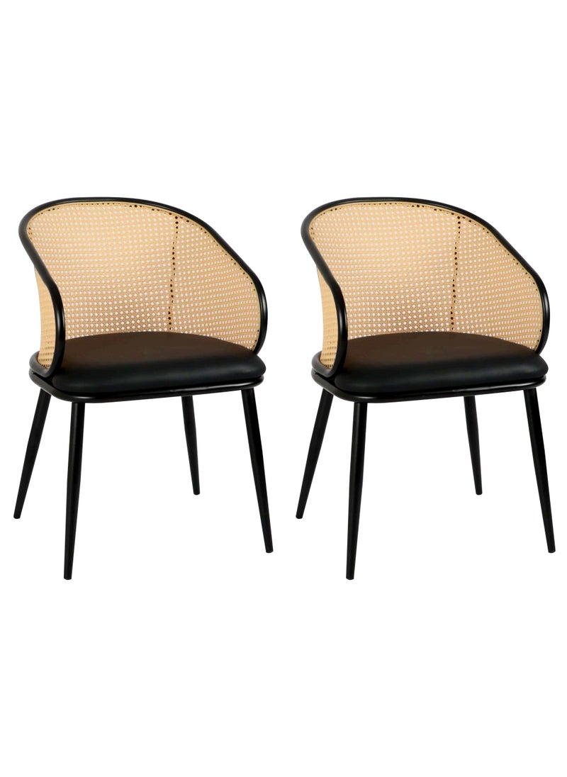 Generic - SET OF 2 Luxury Armrest Dining Chairs Classic Hotel Metal Rattan Good Minimalist Dining Chairs  Living Room - Image 1
