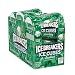 ICE BREAKERS Ice Cubes Spearmint Flavored Sugar Free Chewing Gum Bottles 324 oz 6 Count 40 Pieces - Image 4