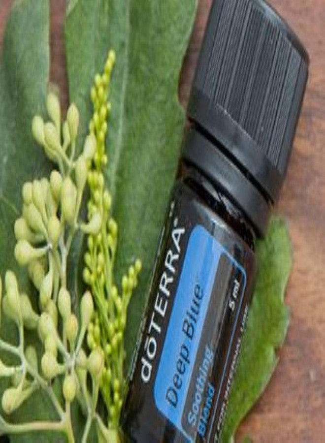 doTERRA Deep Blue Essential Oil Soothing Blend - 5 ml - Image 3