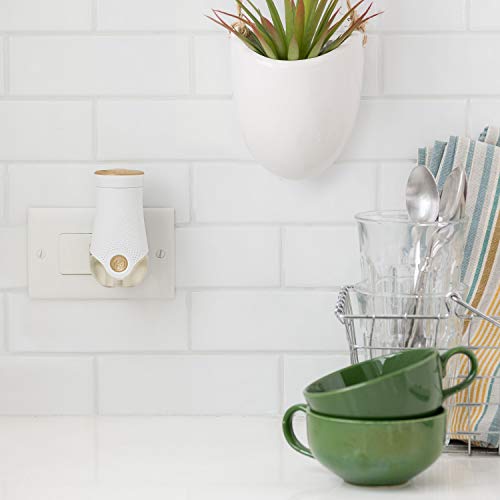 SC Johnson Glade PlugIns Scented Oil Refill, Hawaiian Breeze & Vanilla Passion Fruit, Essential Oil Infused Wall Plug In, 1.34 fl oz, 2 ct - Image 3