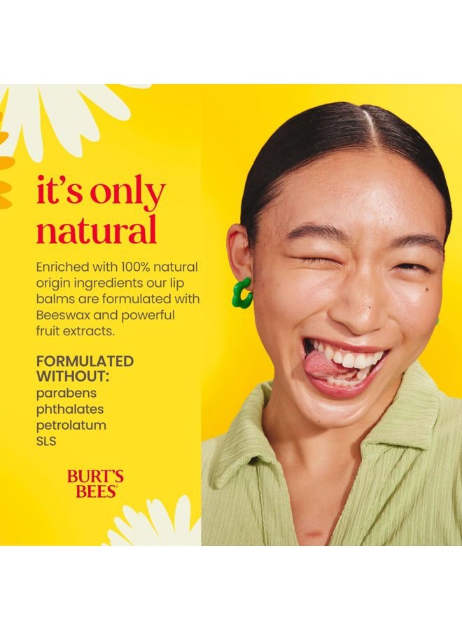 Burt's Bees بلسم الشفاه، مجموعة متنوعة من شمع العسل، 4 عبوات، 0.15 أونصة - Image 4