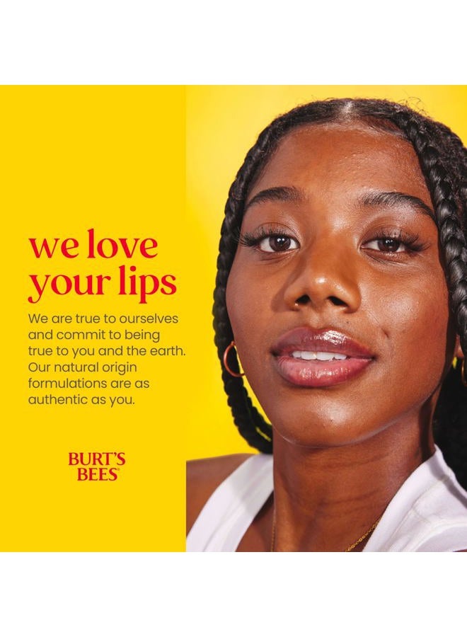 Burt's Bees بلسم الشفاه، مجموعة متنوعة من شمع العسل، 4 عبوات، 0.15 أونصة - Image 5