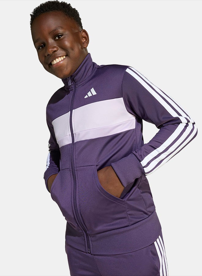Adidas Seasonal Essentials Tiberio 3-Stripes Tricot Track Suit Kids - Image 4