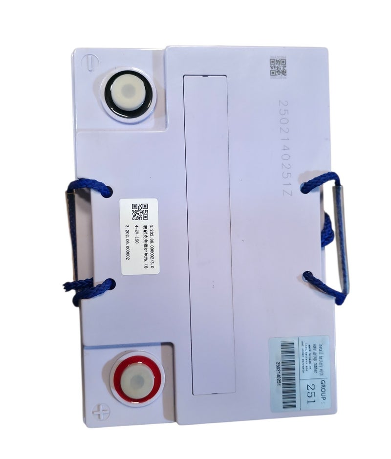 LVTONG بطارية AGM 8V 150AH لعربات الجولف - Image 3