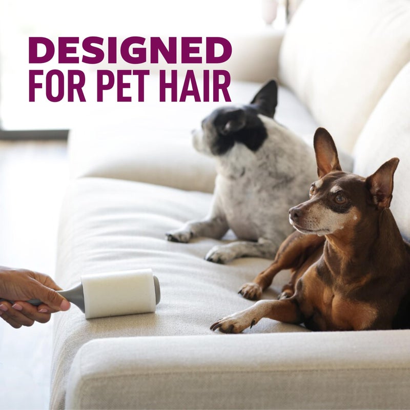 Scotch Brite Scotch-Brite Pet Hair Pickup Extra Sticky Large Lint Roller, Designed for Removing Fur + Fluff on Couches, Clothes, Dog and Cat Beds, & More, 1 Pack, 60 Easy-Tear Adhesive Sheets Total - Image 3