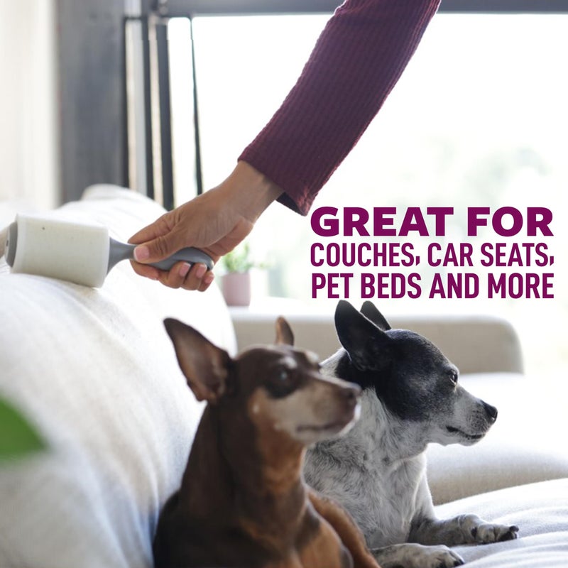 Scotch Brite Scotch-Brite Pet Hair Pickup Extra Sticky Large Lint Roller, Designed for Removing Fur + Fluff on Couches, Clothes, Dog and Cat Beds, & More, 1 Pack, 60 Easy-Tear Adhesive Sheets Total - Image 4