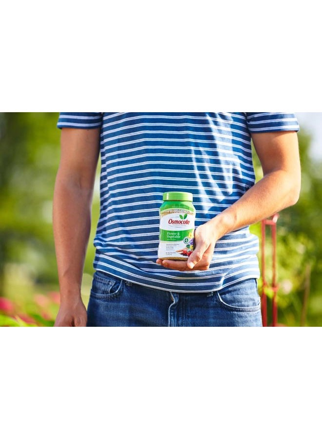 Osmocote 277160 Smart-Release Plant Food Flower & Vegetable, 1 LB - Image 3