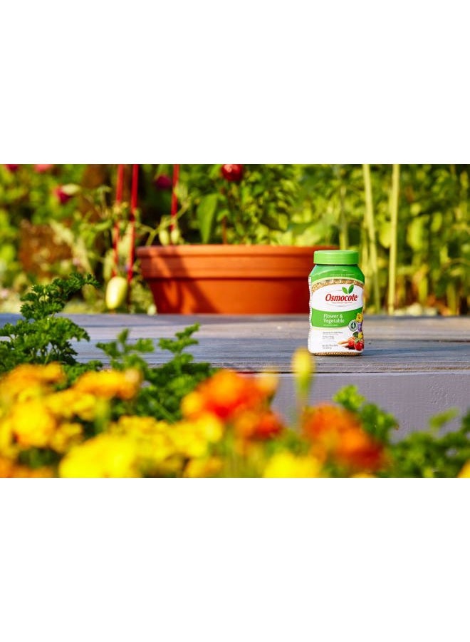 Osmocote 277160 Smart-Release Plant Food Flower & Vegetable, 1 LB - Image 2