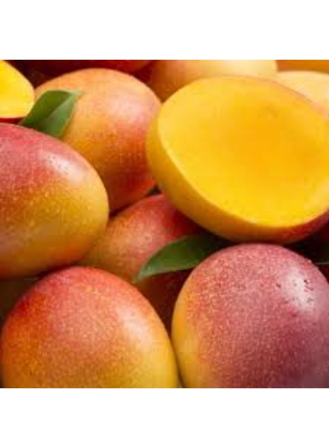 Klorane Mango Butter Balm Conditioner 200ml - Image 3