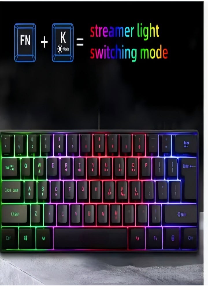 Mechanical gaming keyboard, 61 key compact wired keyboard with RGB backlit dual lens injection keycaps, 29.2x10.2x4CM, black