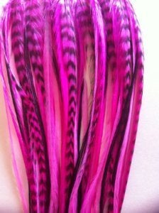 Feather Hair Extension  Hot Pink and Black Genuine Rooster Feathers all bonded together ranging from 8 to 10 inches in length with a total of five feathers