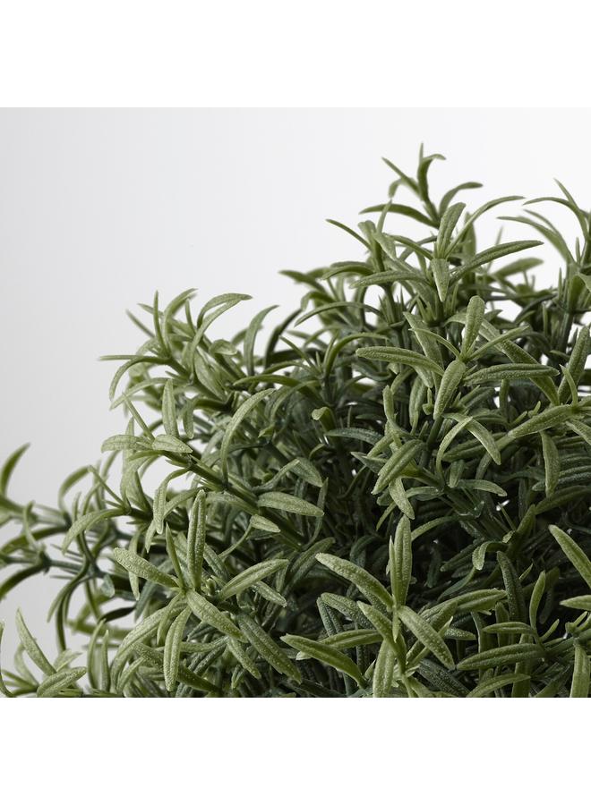 زبون نبات صناعي في وعاء، إكليل الجبل، 9 سم - Image 3