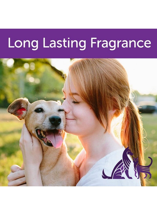 nootie Nootie Foaming Waterless Shampoo for Dogs and Cats, 7-Ounce, Soft Lily Passion - Image 3