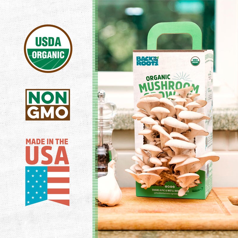 Back to the Roots Back to the Roots Organic Oyster Mushroom Grow Kit, Harvest Gourmet Mushrooms In 10 Days  - Image 2