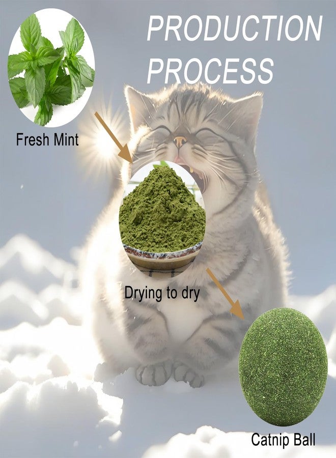 AOODOOM 3 inch Giant Catnip Ball for Cats, Large Catnip Ball for Cats Indoor - Image 4
