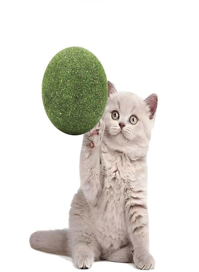 AOODOOM 3 inch Giant Catnip Ball for Cats, Large Catnip Ball for Cats Indoor - Image 2