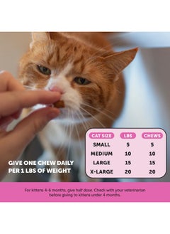 Pet Honesty Cat Multivitamin Chews  Cat Treats For Health + Immune, Cat Joint Support, Skin & Coat, And Digestion | Omega 3S, Lysine For Cats, Cat Probiotic, Cat Vitamins  Chicken (30Day Supply)  - Image 4