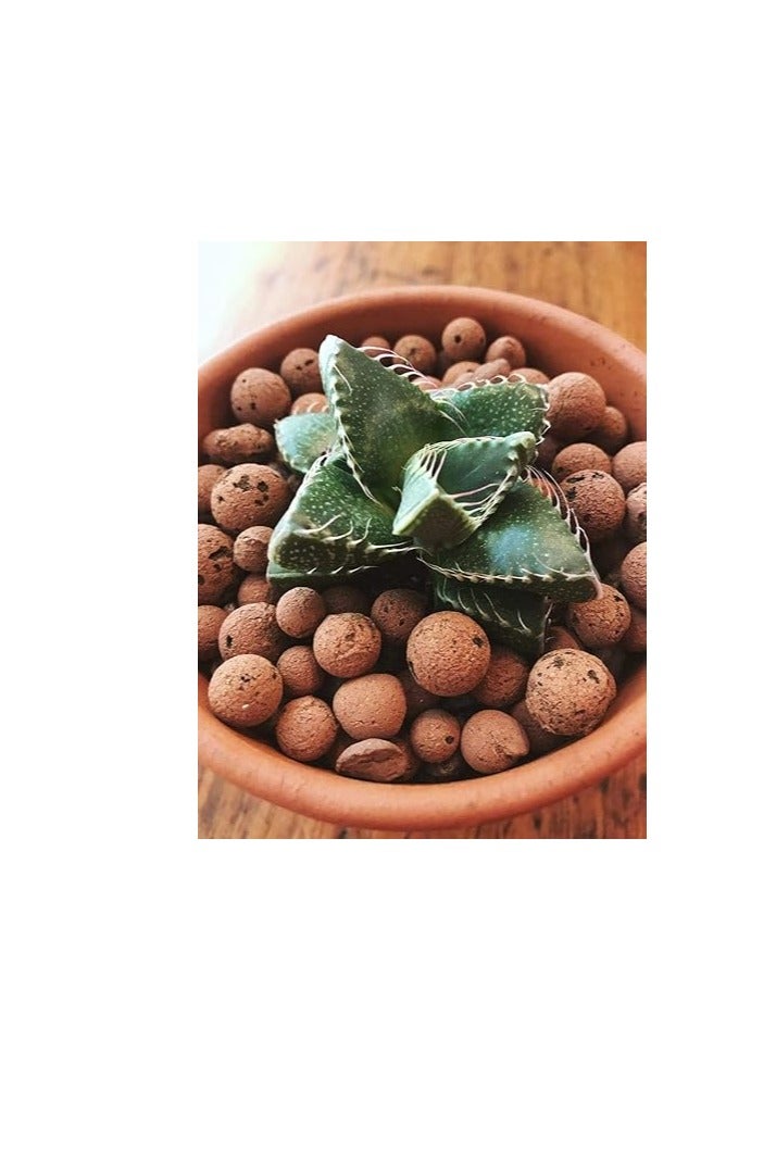 Clay Balls, Lightweight Growing Media for Hydroponics and Aeroponics, pH Neutral, Porous Structure (1, Kilograms) - Image 3