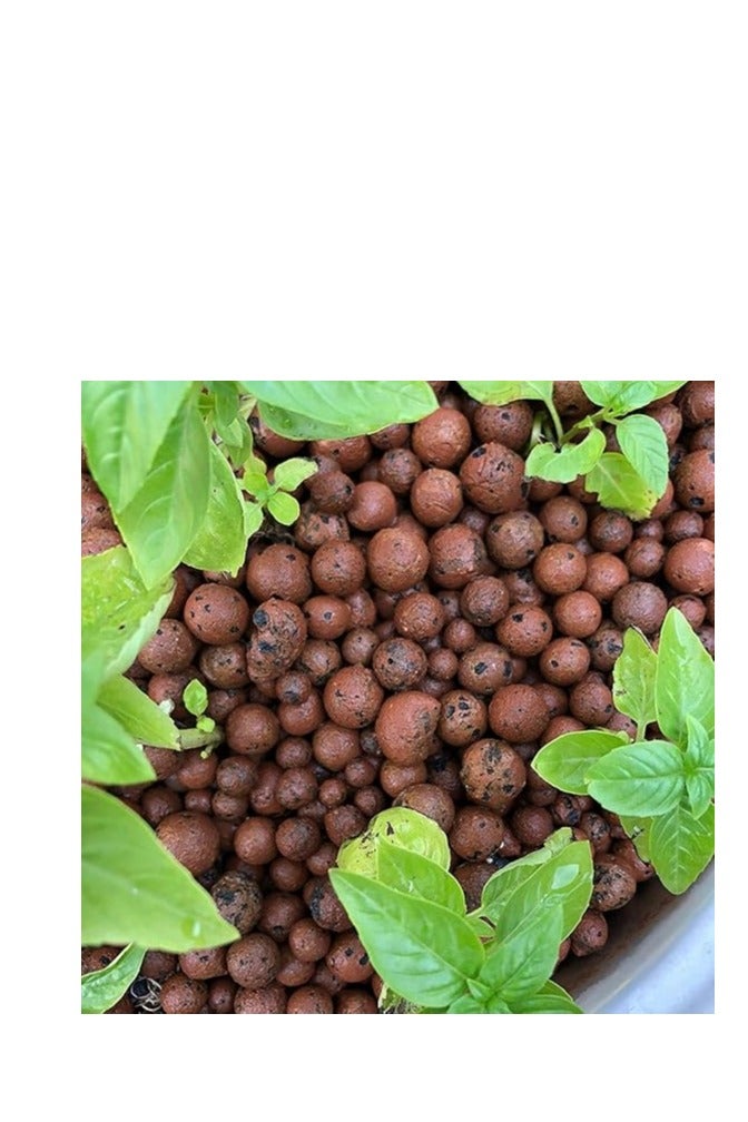 Clay Balls, Lightweight Growing Media for Hydroponics and Aeroponics, pH Neutral, Porous Structure (1, Kilograms) - Image 4