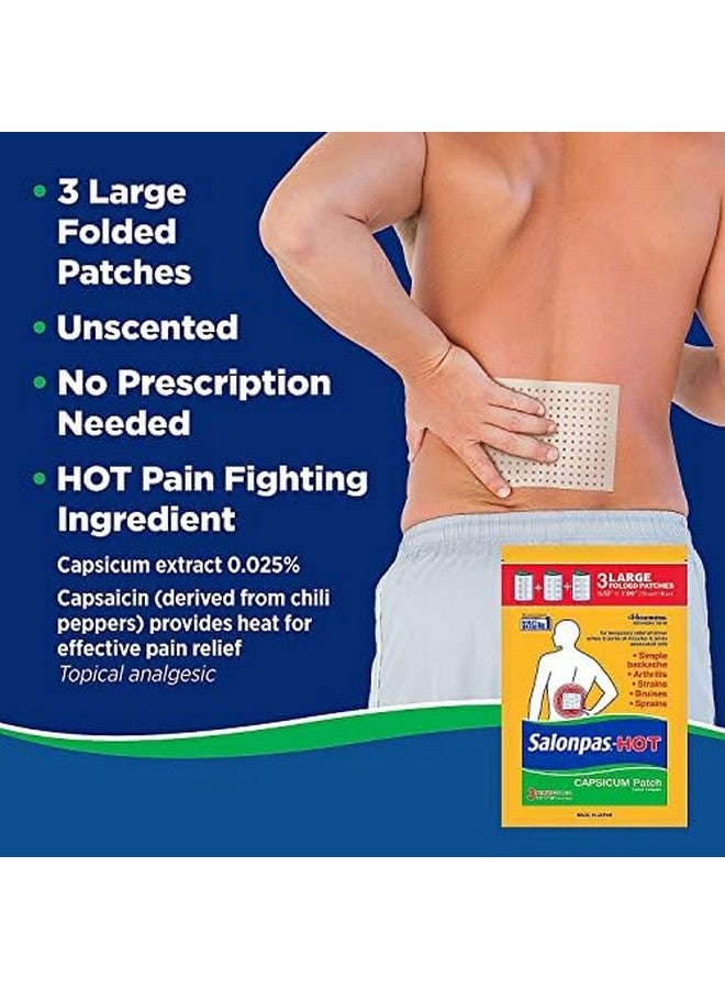لاصقة سالون باس سالونباس - لصقات الفلفل الحار، 3 قطع (عبوة من 6 قطع) - Image 5