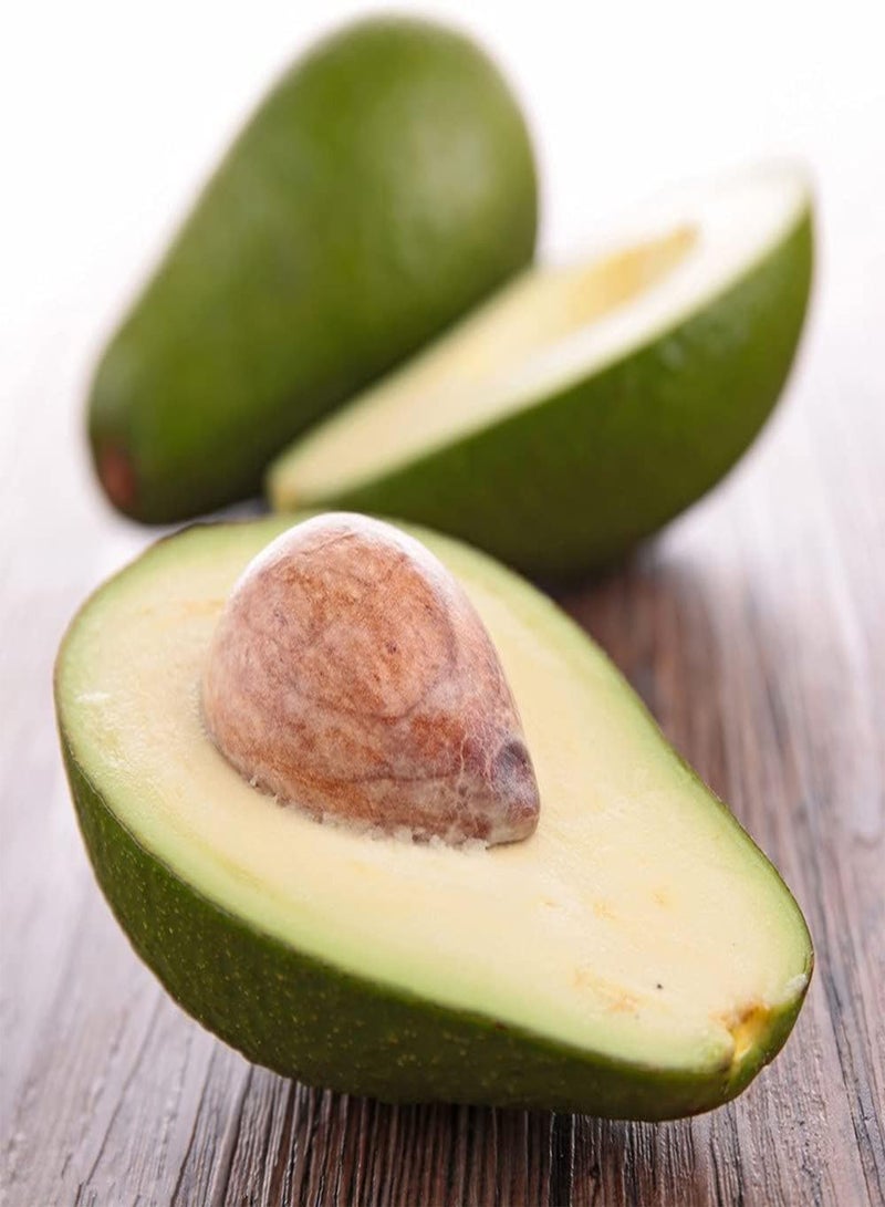 جي جوت 10 قطع من بذور الأفوكادو، شجرة فاكهة غريبة لزراعة الحدائق الداخلية والخارجية، فواكه لذيذة ومغذية، مناسبة لجميع أفراد الأسرة للاستمتاع بها - Image 2