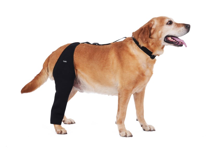 Yoneba Dog Recovery Sleeve Back Leg Breathable MaterialDog Leg Sleeve to Stop Licking and Biting Firm and Secure Adjustable Size Comfortable Alternative to Cone Collars Large Single Leg - Image 2