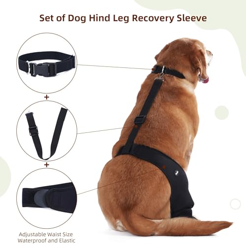 Yoneba Dog Recovery Sleeve Back Leg Breathable MaterialDog Leg Sleeve to Stop Licking and Biting Firm and Secure Adjustable Size Comfortable Alternative to Cone Collars Large Single Leg - Image 3