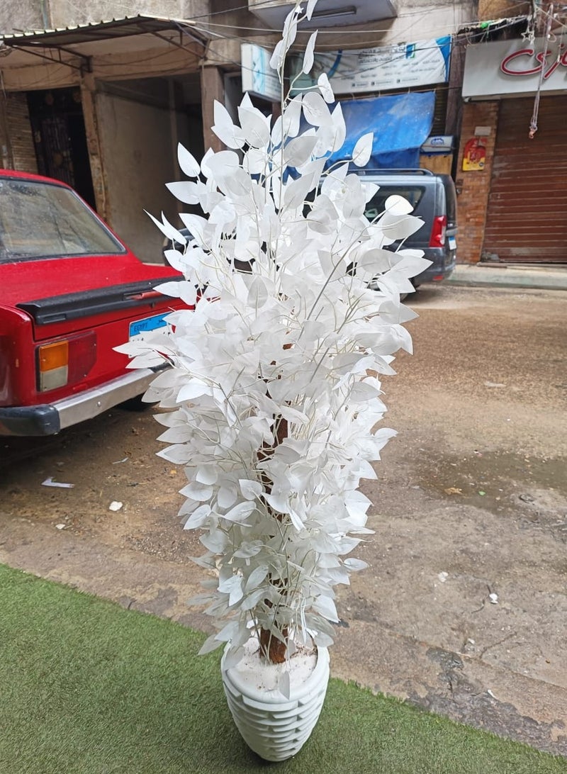 Artificial benjamina tree - Image 5