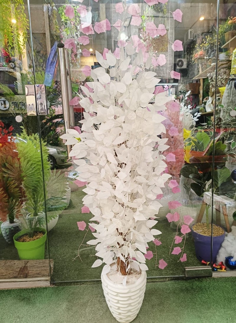 Artificial benjamina tree - Image 1