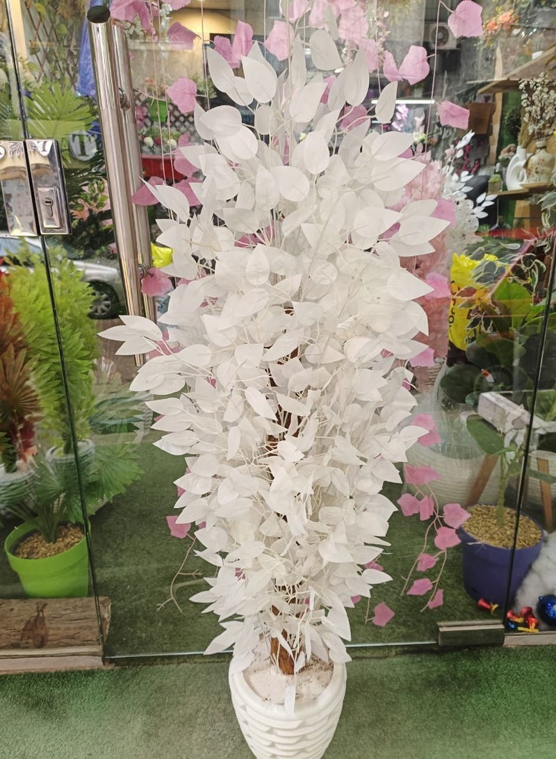Artificial benjamina tree - Image 3