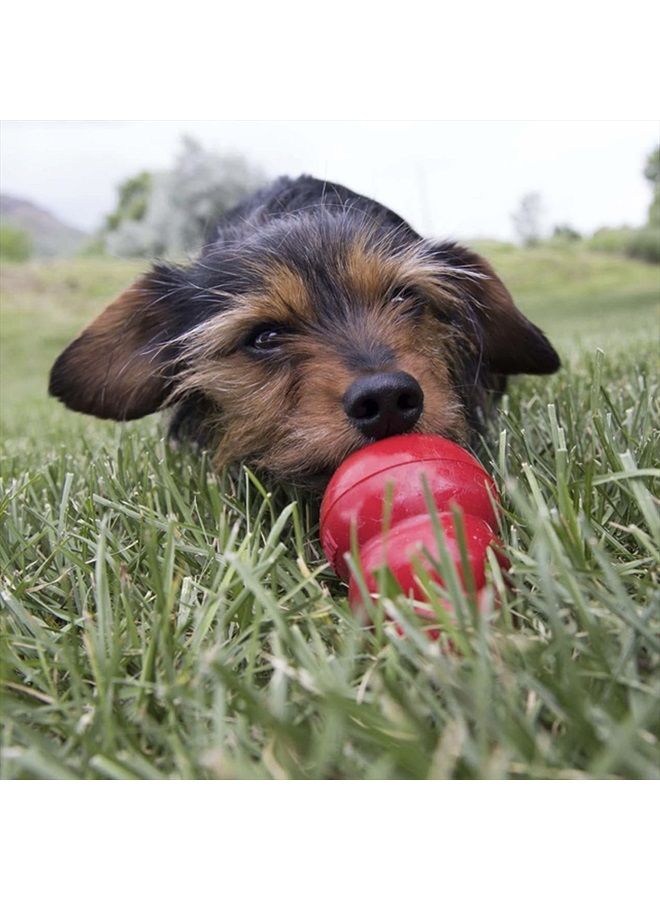 Kong إيزي تريت - معجون مكافأة الكلاب - 8 أونصة - زبدة الفول السوداني - Image 3