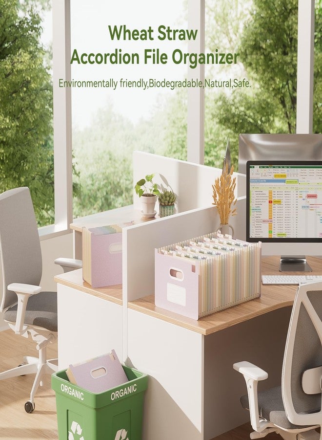 EcoStash Accordian File Organizer, 26 Pockets Wheat Straw Expanding File Folders, Upright&Open Top, A-Z Bill Receipt Organizer, 100% BPA Free, Return to Nature, Healthy Living, Letter/A4 Size-Lavender Purple - Image 2