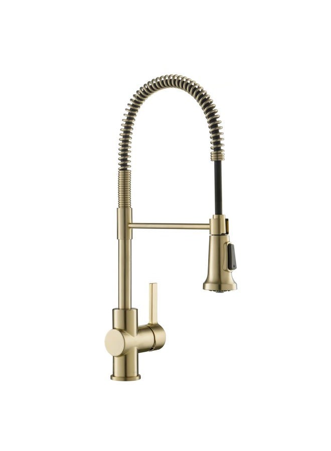 KRAUS Britt Commercial Style Pre-Rinse Kitchen Faucet with Deck Plate in Brushed Gold, KPF-1690BG - Image 1