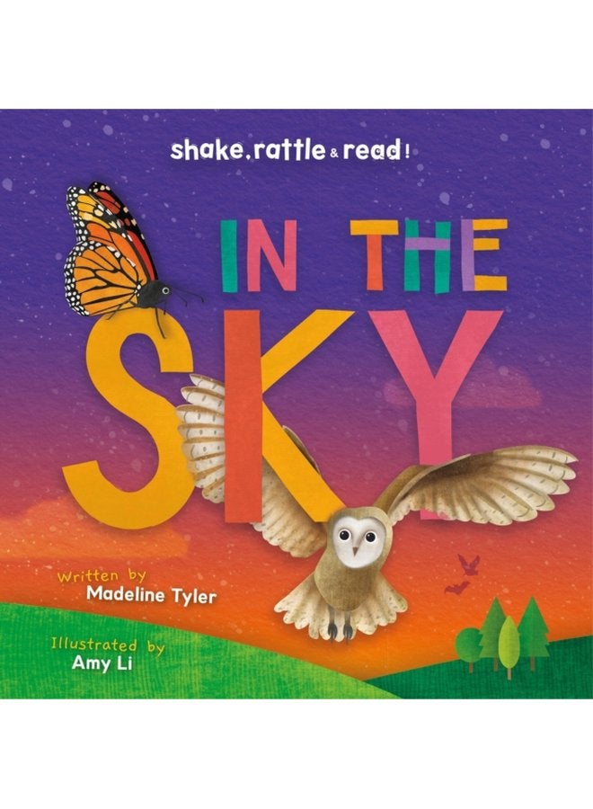 In the Sky - Hardback