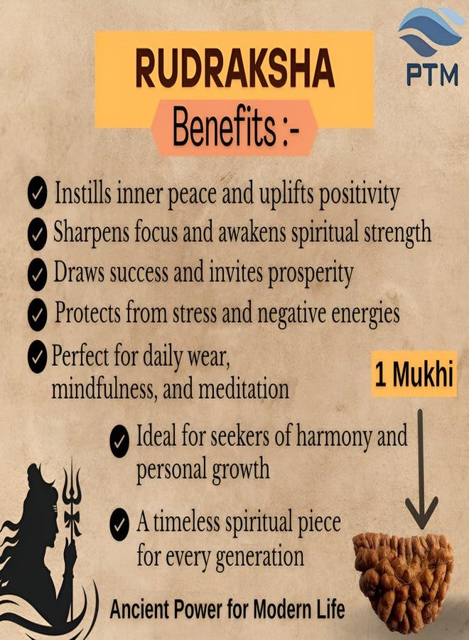 بي تي إم خرز موخي رودراكشا 1 معتمد من PTM | إيك موخي/ وجه واحد الخرز الأصلي | رودراكشا الفلكية الطبيعية للرجال والنساء - Image 4