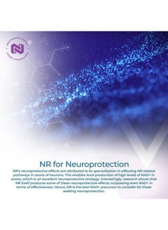 Nootropics Depot Nootropics Depot Nicotinamide Riboside Capsules | 300mg | NAD+ Precursor | 30 Count | Promotes NAD+ Levels | Cellular Energy  - Image 4