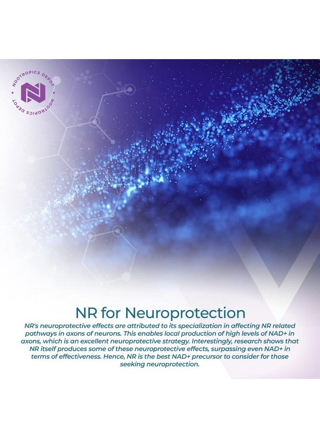 Nootropics Depot - Nootropics Depot Nicotinamide Riboside Capsules | 300mg | NAD+ Precursor | 30 Count | Promotes NAD+ Levels | Cellular Energy - Image 1