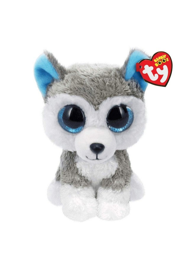 تي واي سلاش - كلب ريج