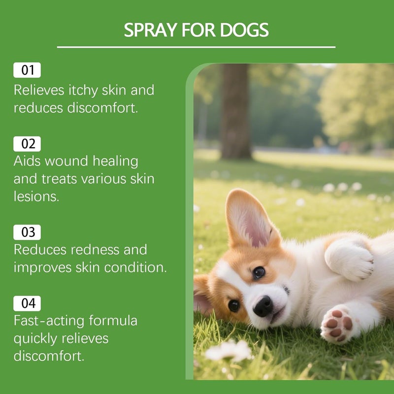 KASTWAVE Air & land transit compatible Itch Relief Spray for Dogs, Dog Itch Relief, Skin Relief Spray, Professional Dog Skin Care Spray Anti Itch Spray for Dog, Natual Itchy Dog Skin Relief Varied available picks - Image 4