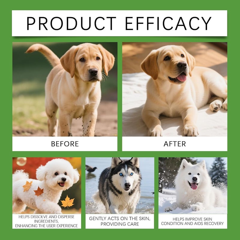 KASTWAVE Air & land transit compatible Itch Relief Spray for Dogs, Dog Itch Relief, Skin Relief Spray, Professional Dog Skin Care Spray Anti Itch Spray for Dog, Natual Itchy Dog Skin Relief Varied available picks - Image 5