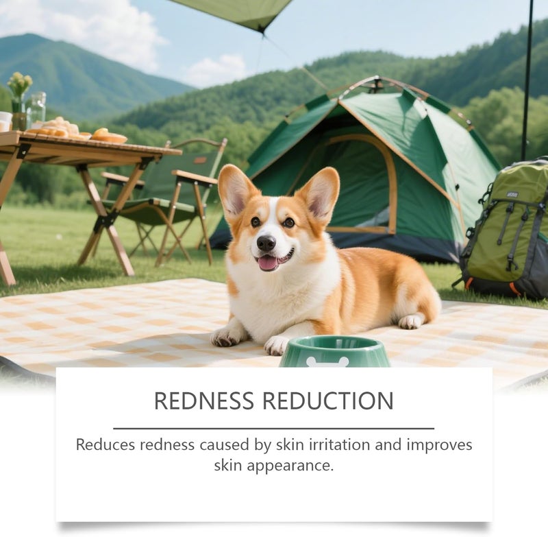 KASTWAVE Air & land transit compatible Itch Relief Spray for Dogs, Dog Itch Relief, Skin Relief Spray, Professional Dog Skin Care Spray Anti Itch Spray for Dog, Natual Itchy Dog Skin Relief Varied available picks - Image 2