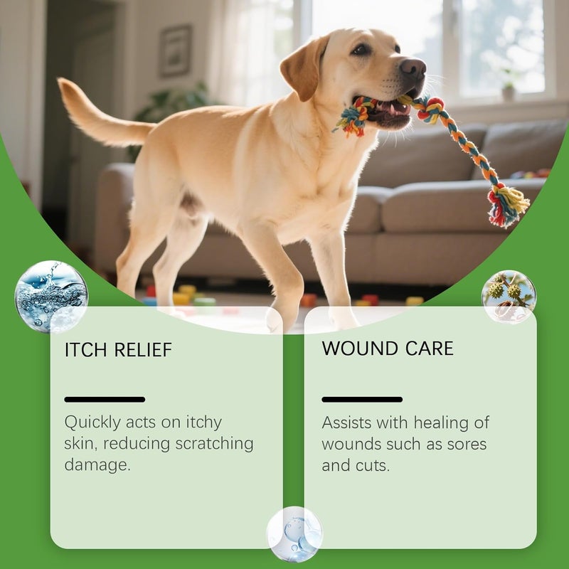 KASTWAVE Air & land transit compatible Itch Relief Spray for Dogs, Dog Itch Relief, Skin Relief Spray, Professional Dog Skin Care Spray Anti Itch Spray for Dog, Natual Itchy Dog Skin Relief Varied available picks - Image 1
