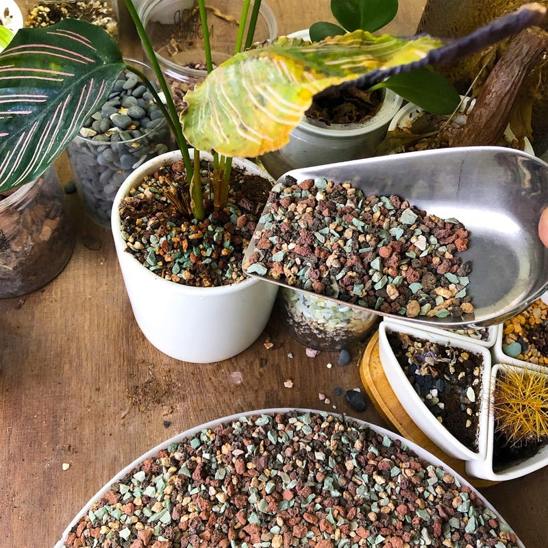 CJGQ 18lb Mix Lava Rocks for Plants in Door -Gravel Pebbles for Bonsai Succulent Cactus Potting Soil and Vase Fillers, Fairy Gardening,Top Dressing - Image 5