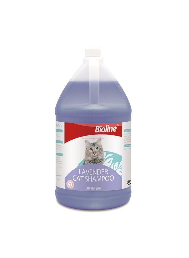 بايولاين شامبو للقطط برائحة اللافندر 3.8 لتر